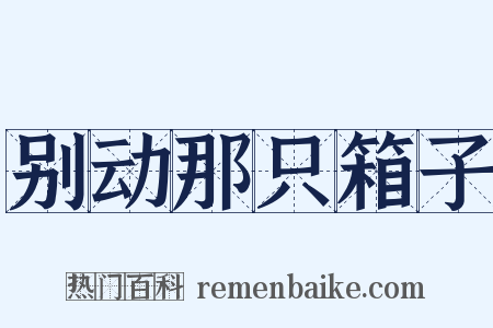 别动那只箱子是什么意思的图片